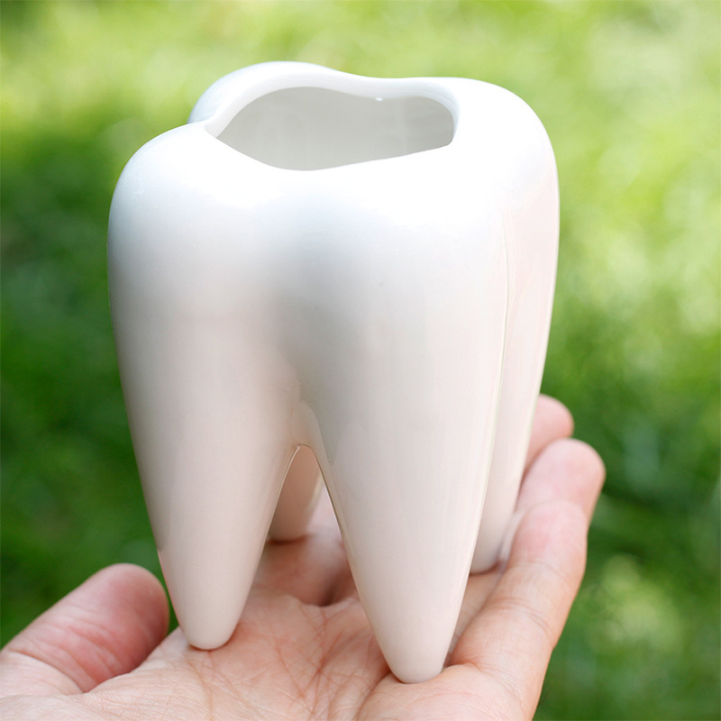 2022 Creative Tooth Shape Ceramic Pen Pencil Brush Holder Pot Succulent Plant Pot for Office