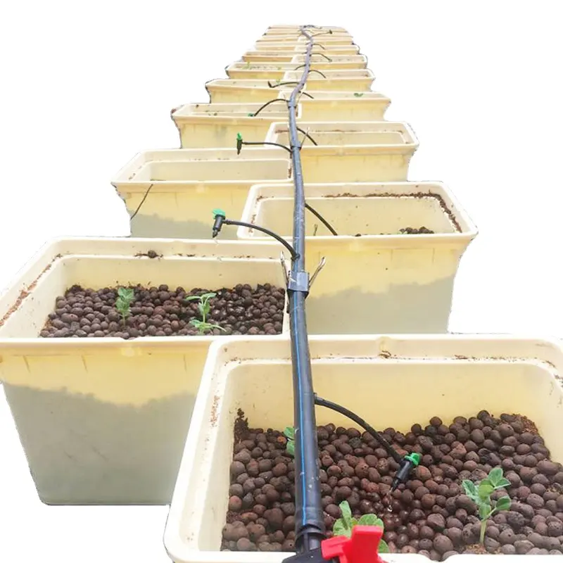 Complete Garden Hydroponic Tomato Dutch Bucket Grow system Dutch Bucket Hydroponics growing System