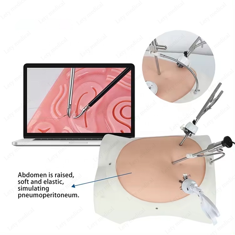 High quliy Laparoscopic Simulator Box with1080P Endoscope Camera with 4 Training Instrument And Modules Laparoscopy