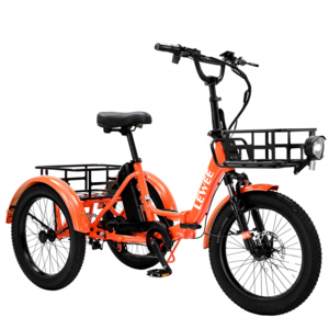 LEWEE Wholesale Electric Tricycle 7 Speeds Electric Trike 500W 48V Three Wheel Adult Bicycle Motorized Tricycle Customized Bike