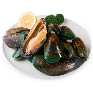 Ready Ship Frozen Half Mussels Cooked Boiled Black Blue Green Mussel Shells With Meat Size 8-10CM