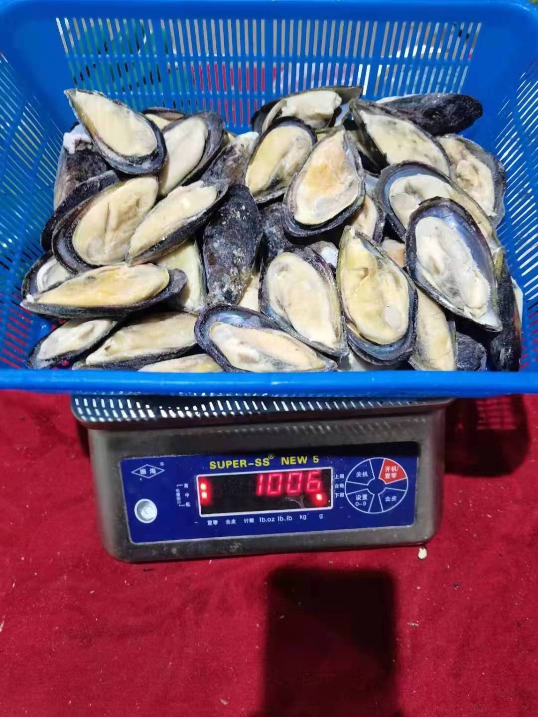 Ready Ship Frozen Half Mussels Cooked Boiled Black Blue Green Mussel Shells With Meat Size 8-10CM