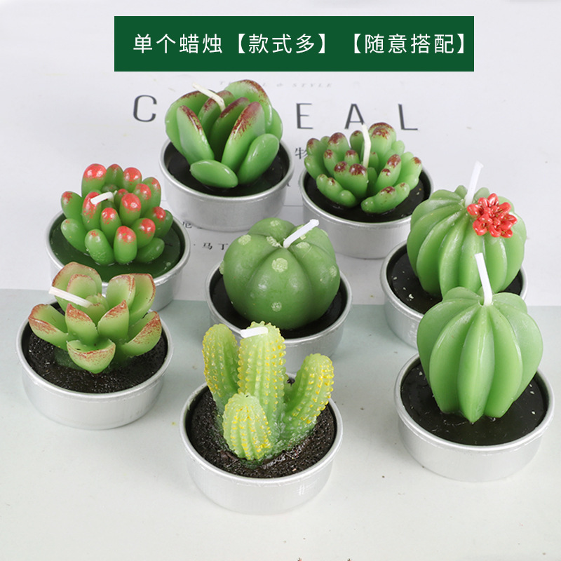 Smokeless Aromatherapy Mini flower cactus tealight candles unscented 12 Styles for Home Birthday Gift Party Wedding SPA