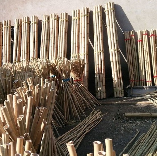 Natural raw bamboo poles for farmland