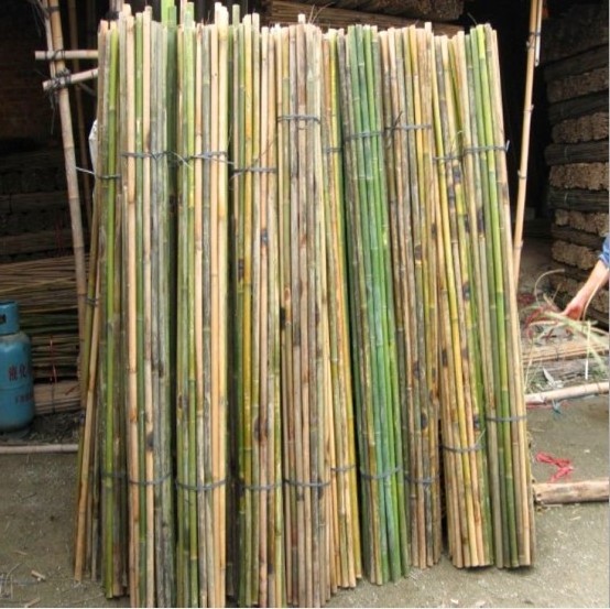 Natural raw bamboo poles for farmland