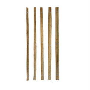 Natural raw bamboo poles for farmland