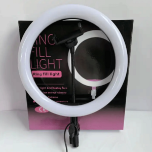 2023 Hot Sale 10 Inch Hand Held Led Ring Light Phone Selfie Tik Tok Ring Light