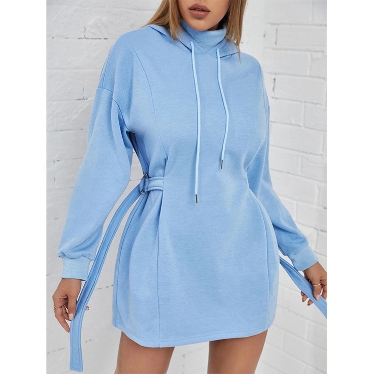 Custom Plus Size Sky Blue Loose Sweatshirts Wholesale High Quality Drawstrings Blank Warm Women's Hoodies Dress