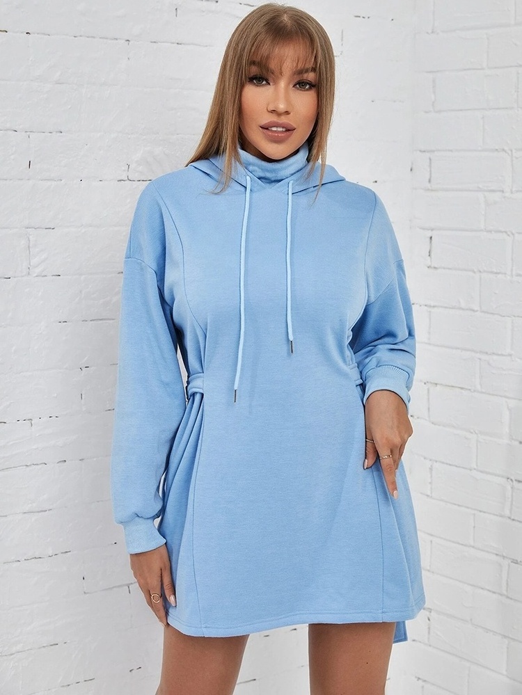 Custom Plus Size Sky Blue Loose Sweatshirts Wholesale High Quality Drawstrings Blank Warm Women's Hoodies Dress