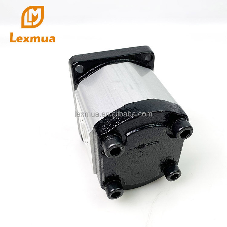 High Efficiency Hydraulic Pump Series Pump  Snp1nn Snp3nn Snp Snp2nn Hydraulic Gear Pump