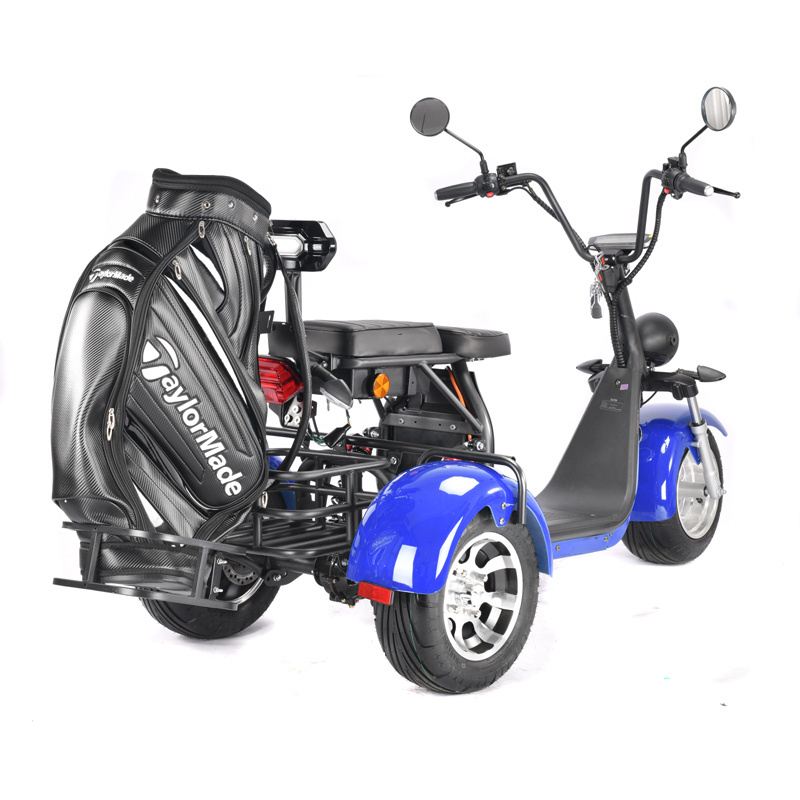 EEC Approved 60V 1500W 3 Wheel Electric Golf Cart Buggy Scooter