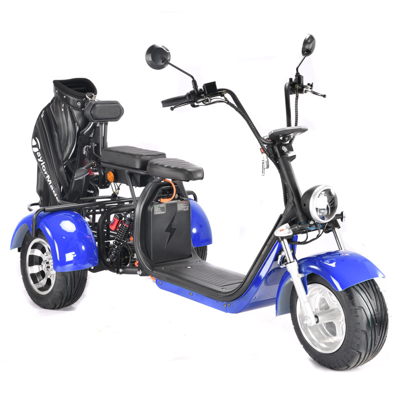 EEC Approved 60V 1500W 3 Wheel Electric Golf Cart Buggy Scooter