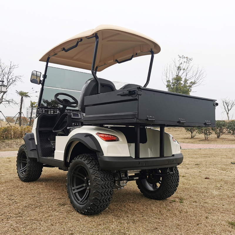 Lithium Battery 5kw electric 4 wheel drive UTV golf cart 2 seater with cargo box for sale