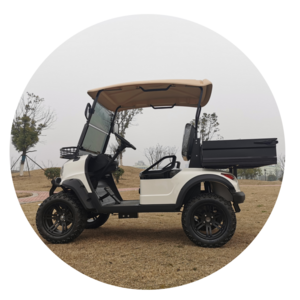 Lithium Battery 5kw electric 4 wheel drive UTV golf cart 2 seater with cargo box for sale