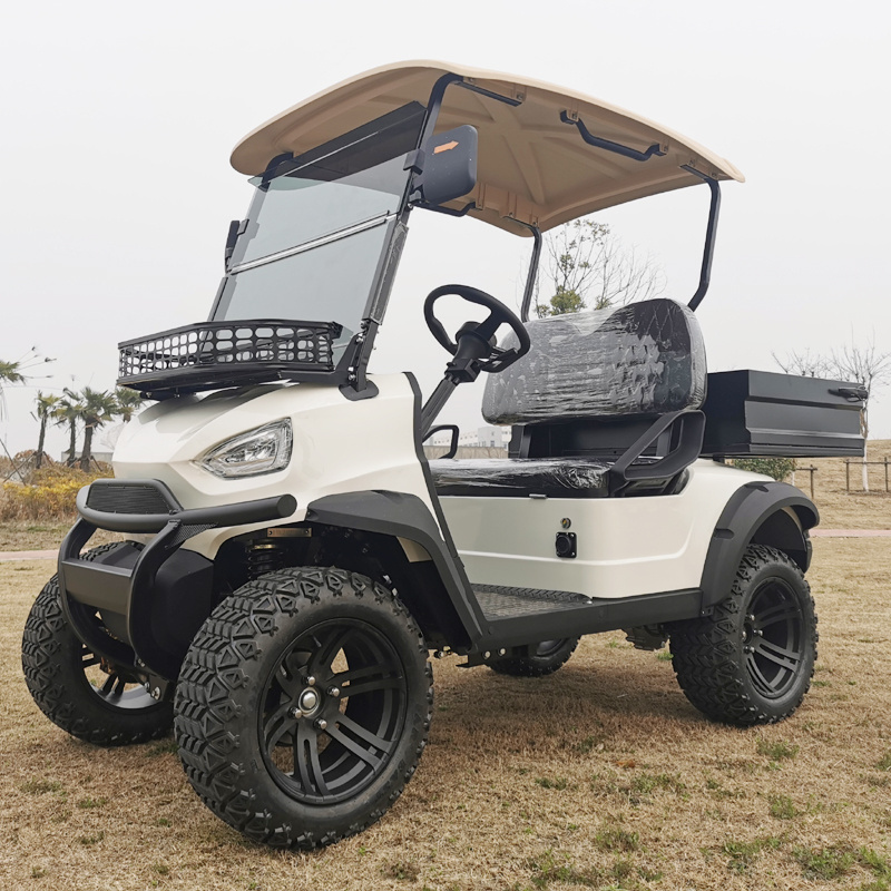 2023 New Style Design Cheap Safe Factory Direct Mini 2 Seat Electric Golf Cart with Cargo box