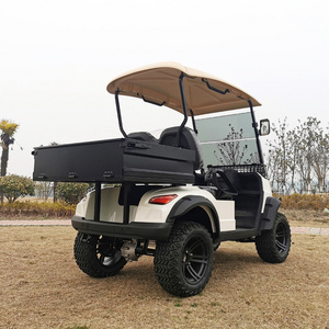 2023 New Style Design Cheap Safe Factory Direct Mini 2 Seat Electric Golf Cart with Cargo box