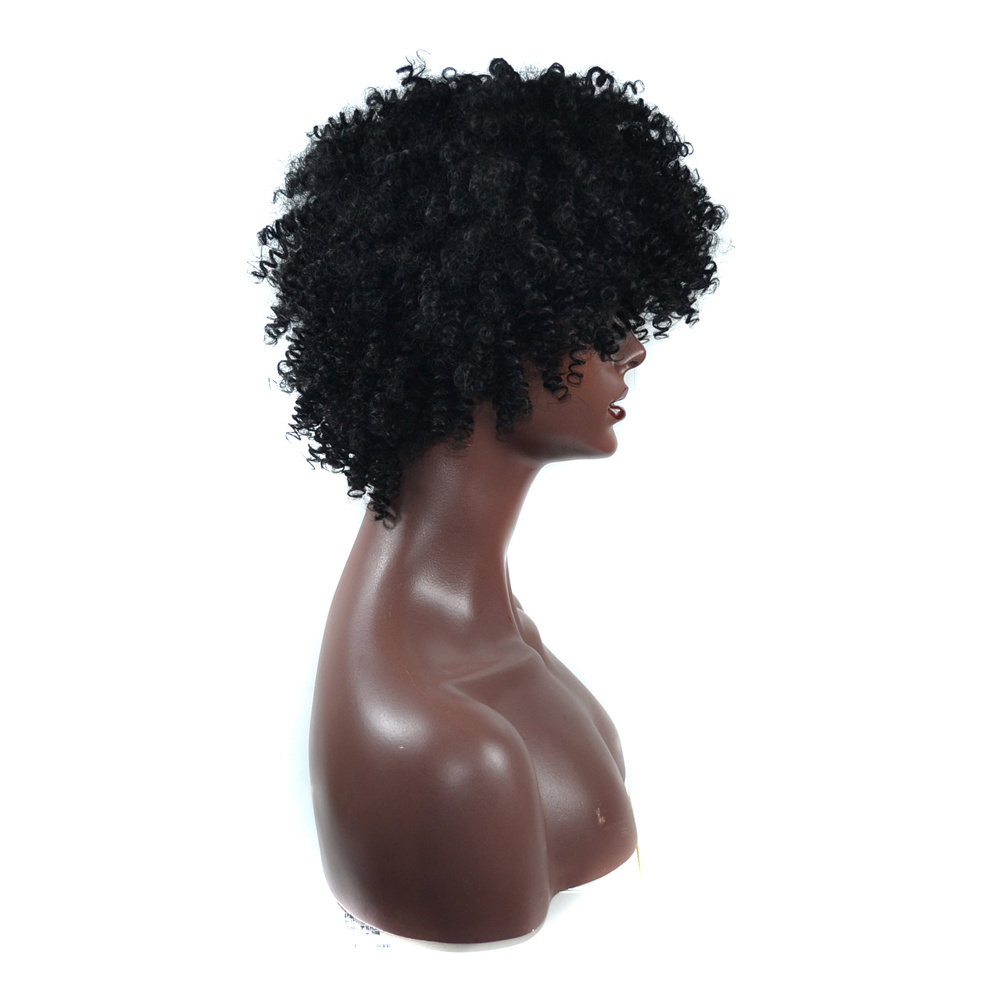 AliLeader Wholesale Synthetic Hair Curly Afro Wigs For Black Women