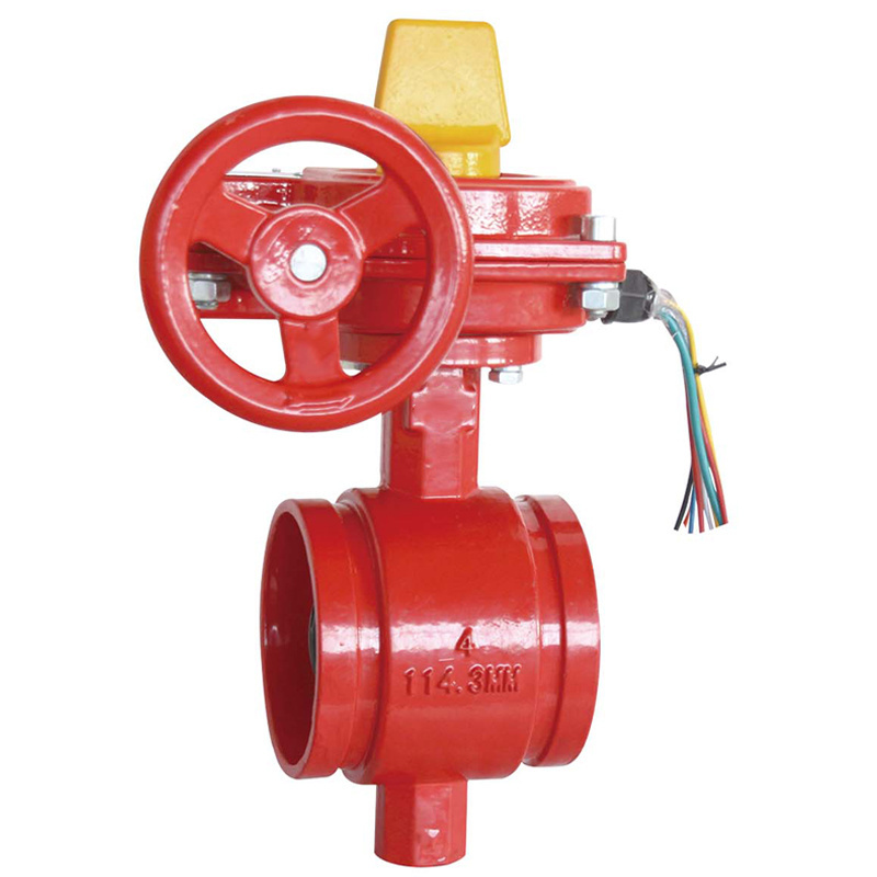 Fire Protection System UL FM PN10/16 DI Grooved Flanged Gate Butterfly non return Fire Fighting Swing Check Valve