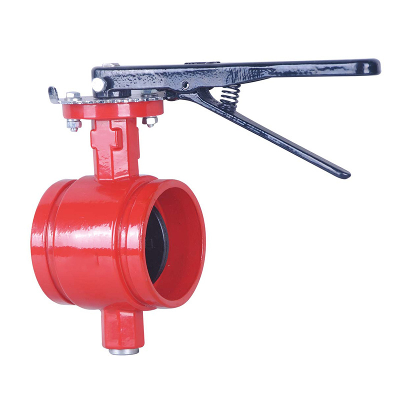 Fire Protection System UL FM PN10/16 DI Grooved Flanged Gate Butterfly non return Fire Fighting Swing Check Valve