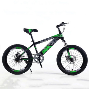 cycle bicycle MTB bike  fat tire fashion MTB steel mountain bike  for india or poverty and rich zone