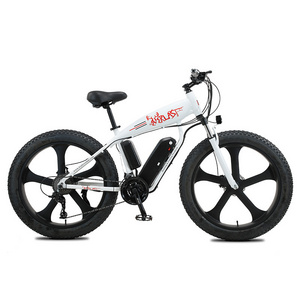 Hot selling fat tyre ebike battery 36v electric bike for adults