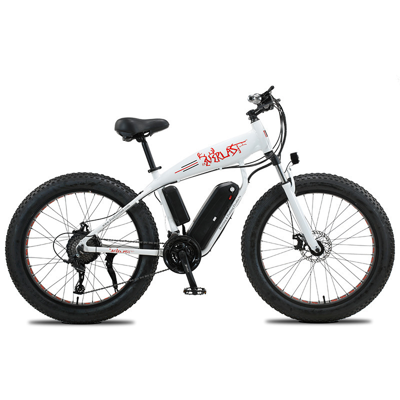 Hot selling fat tyre ebike battery 36v electric bike for adults