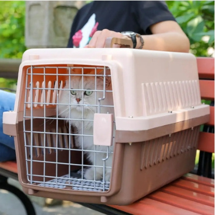 Qingdao Lezi hard side plastic cage pet travel airline approved pp cheap portable outdoor dog kennels pet carriers