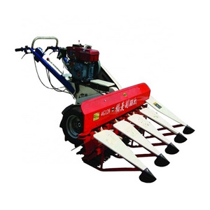 Agriculture 8hp Diesel Mini Wheat Harvester Pepper Sesame Reed Windrower Wheat Millet Windrower