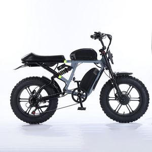 750w Motor Bike Electric Kit Double Disc Brake Best Electric Bike Fat Tire Mountain Ebike Kits Price