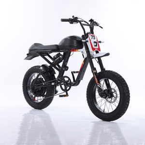 bicycle 73 fatbike rx 250w 1000w 2000w 3000w 1500w 72v 48v duel battery super73 electric fat tire bike ebike