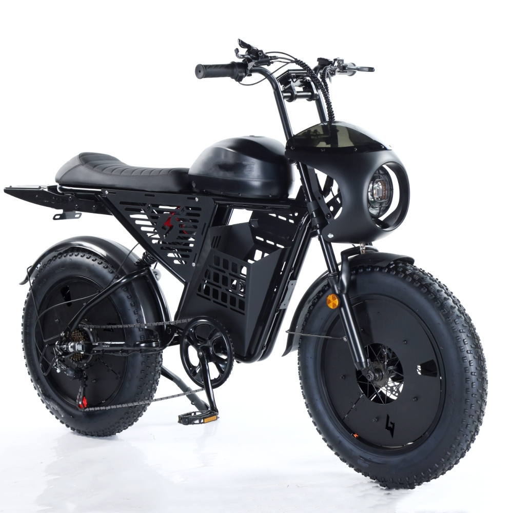 Electric Bike with 1500W Motor Adults Electric Bicycles 48V 23Ah Removable Battery E Bikes 20 Inch Fat Tires Ebike