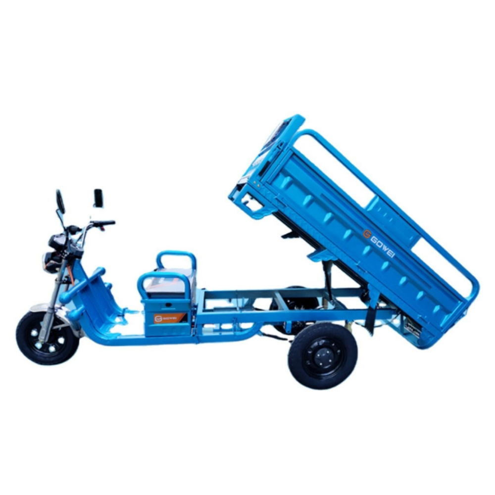 1000W Simple E Cargo Trike Electric Tricycles 60V 1200W 45A 3 Wheel Bike With Big Box For Goods For Adults