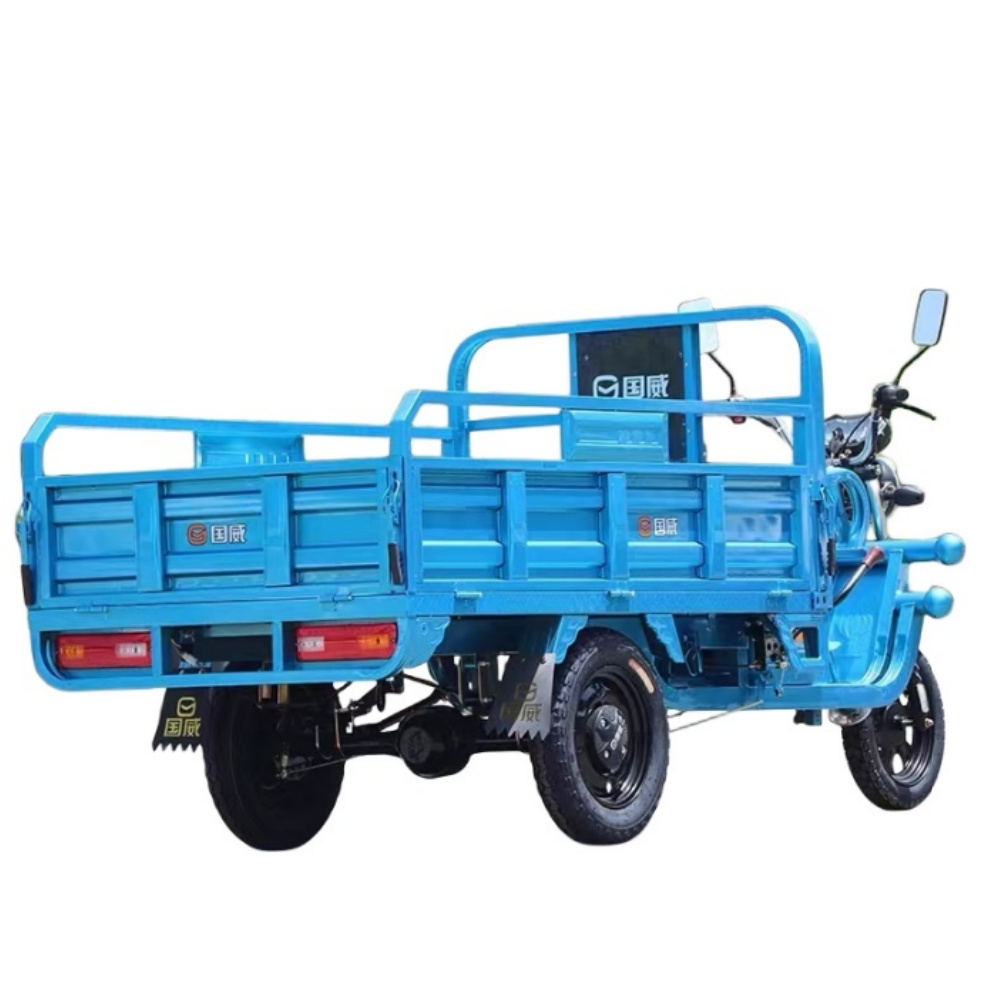 GUOWEI CE China Made High Quality Cargo Bike Electric 60V 1200W 32A 20AH Truck Three Wheel Electric Motorcycle for Sale