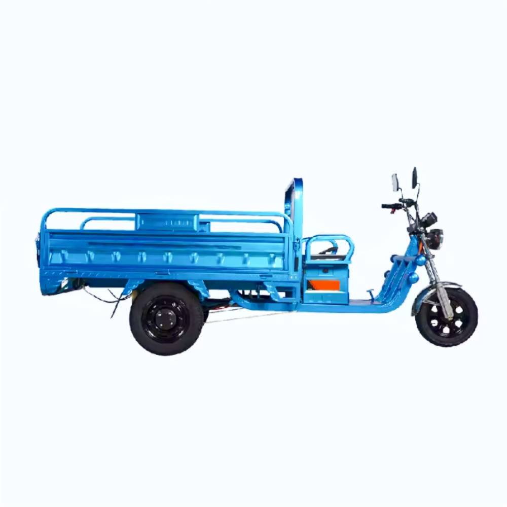 Factory direct sales 3 wheel cargo motorcycle 60V 1000W 45A 20Ah  electric tricycle cargo 500kg scooter citycoco High Quality