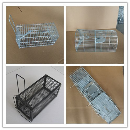 Live Animal Humane Trap Catch and Release Rats Mouse Mice Rodents Cage