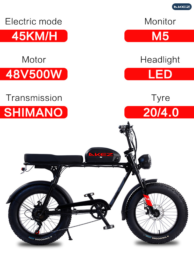 EU warehouse Fat Tire Electric Bicycle 20inch  Dirt E-bike Factory Price 500W/750W motor 13ah battery Off-road Fatbike