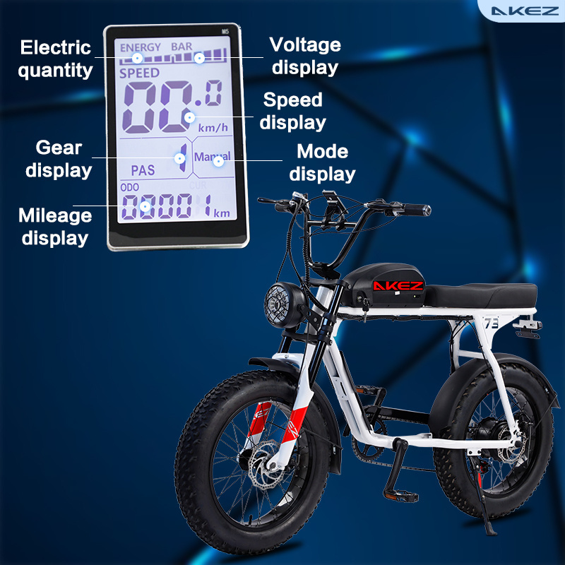 EU warehouse Fat Tire Electric Bicycle 20inch  Dirt E-bike Factory Price 500W/750W motor 13ah battery Off-road Fatbike