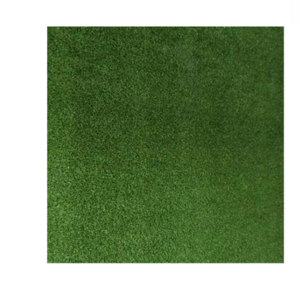 Artificial Indoor Gardens Mat Carpets for Gym Club Turf Gym or Fitness  and High Simulation Artificial Grass Carpet