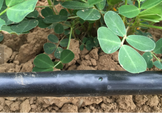 Low cost agriculture drip irrigation pipe1/2 inch drip pipe underground pipes for drip agricultural