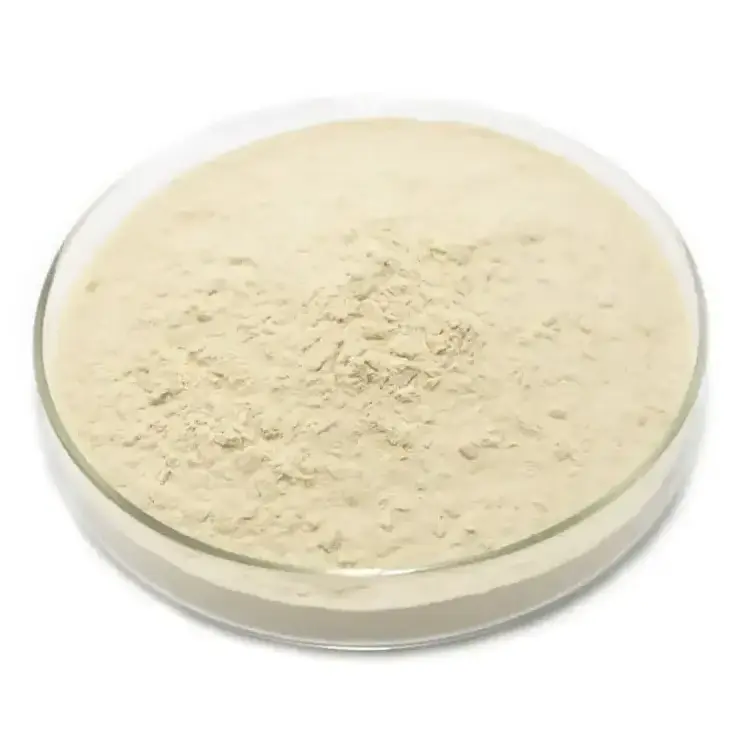 Mbt /Mercaptobenzothiazole/ Raw Materials Powder / Rubber Chemical M / Rubber Accelerant Mbt With Popular