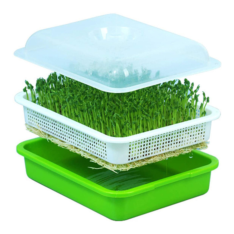 Wholesale custom seed sprouter trays plastic plant seedling nursery Make Plastic Hydroponic Microgreen hydroponic trays