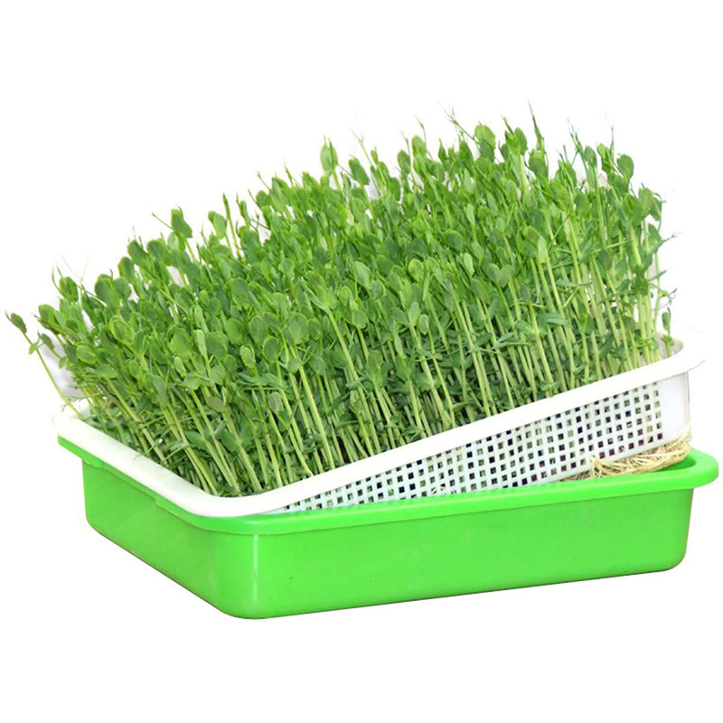 Wholesale custom seed sprouter trays plastic plant seedling nursery Make Plastic Hydroponic Microgreen hydroponic trays