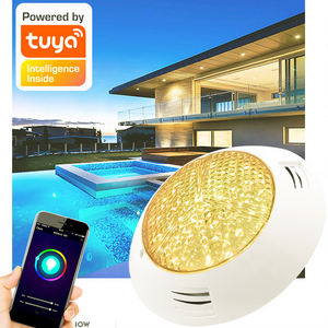 Waterproof IP68 Pond Lamp Color Changing AC12V 20w 24w 36w 45w Underwater Wall Mount LED Swimming RGB Pool Lights