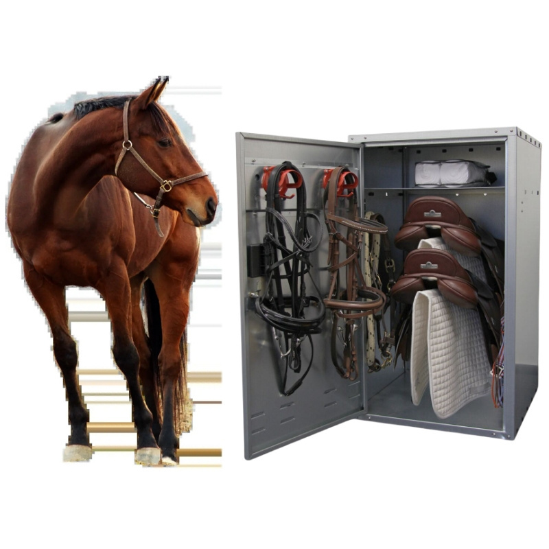 Horse Accessories Equestrian Horse Saddle Box Tack Box Galvanized Sheet Horse Cabinet Saddle Box Tack Locker