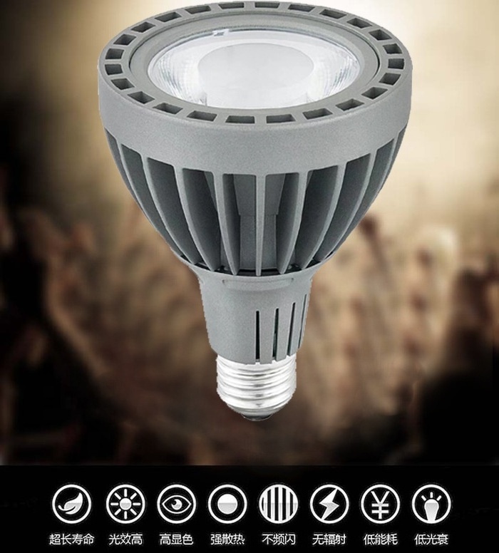 Halide bulb retrofit par30 3000k 4000k 5000k 6000k 15deg 30deg E27 PAR 30 LED Light Bulb 25W 30W