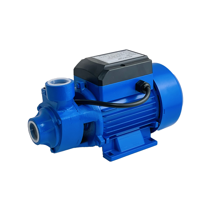 QB60 QB70 Models 1/2hp bomba de agua Wholesale Peripheral Electric Surface Vortex Clean Water Pump pompe a eau For Home