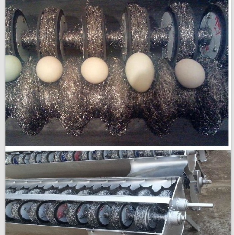 Chicken farm egg process washer / egg washer machine / egg wash handling machines