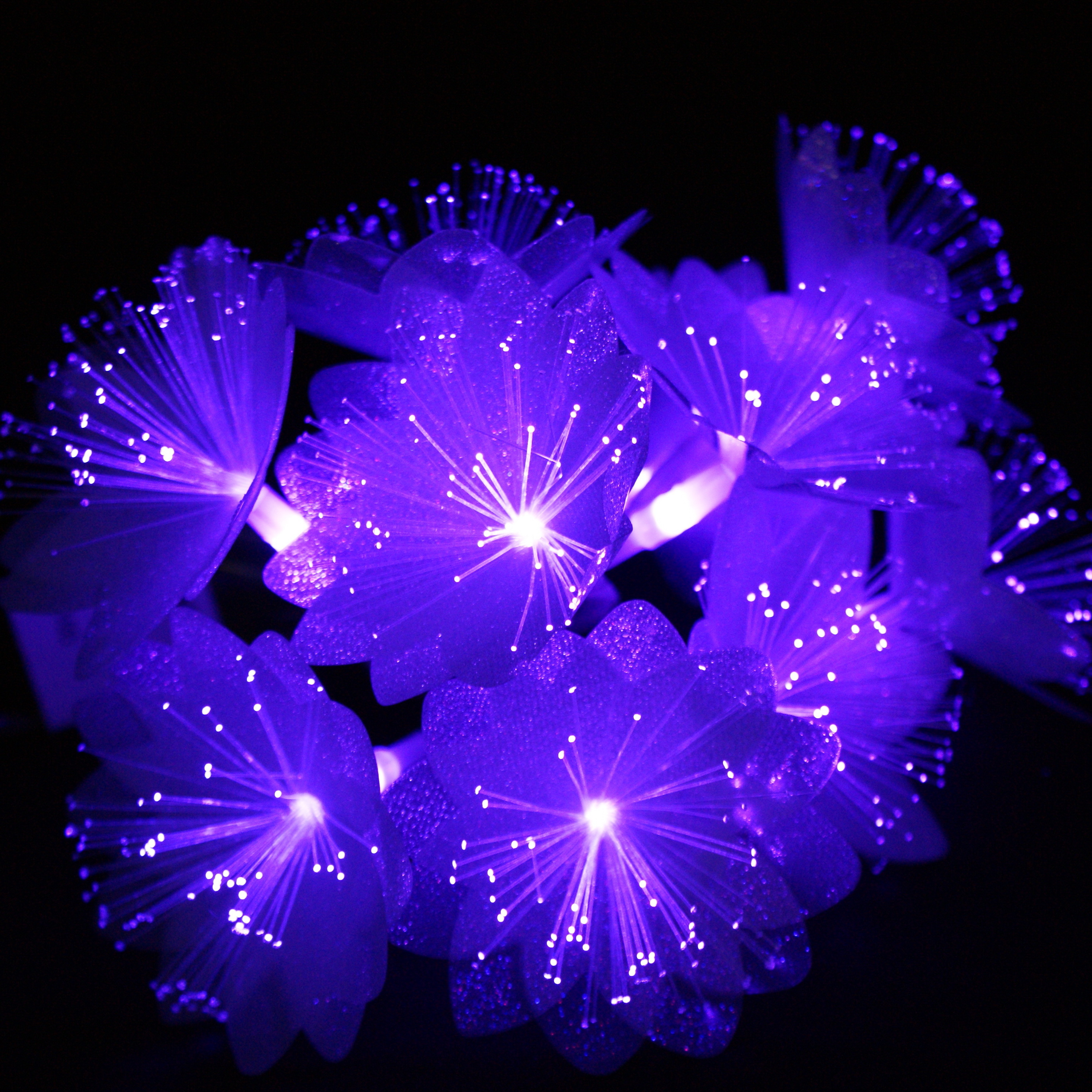 new arrival christmas optical fiber flowers decoration led battery operated powder string /fairy /garland light