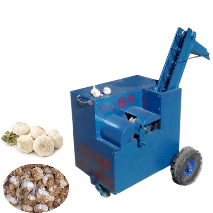 Fresh garlic root cutting machine / garlic root removing machine  / garlic root cutter