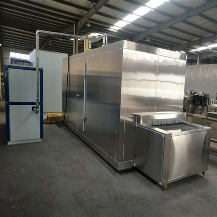 IQF quick freezer/tunnel quick freezing machine with good quality